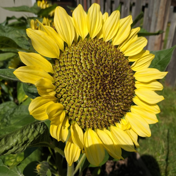 Meet your Posher, Mallory - Picture 1 of 1